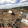 14_35-nest.jpg