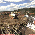 14_40-nest.jpg