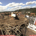 14_45-nest.jpg
