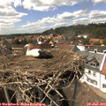 15_00-nest.jpg