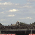 15_05-mast.jpg