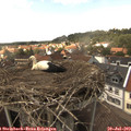15_05-nest.jpg
