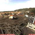 15_10-nest.jpg