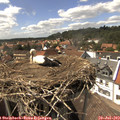 15_15-nest.jpg