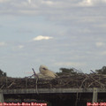 15_35-mast.jpg