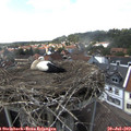 15_35-nest.jpg