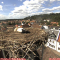 15_40-nest.jpg
