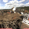 15_55-nest.jpg