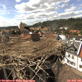 16_00-nest.jpg