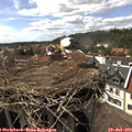 16_05-nest.jpg