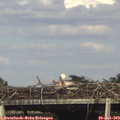 16_55-mast.jpg