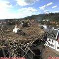 16_55-nest.jpg