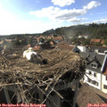17_25-nest.jpg