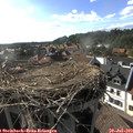 17_50-nest.jpg