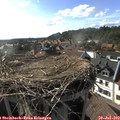 17_55-nest.jpg