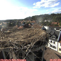 18_00-nest.jpg