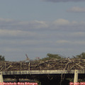 18_10-mast.jpg