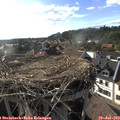 18_10-nest.jpg