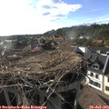 18_15-nest.jpg
