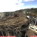 18_20-nest.jpg