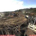 18_25-nest.jpg