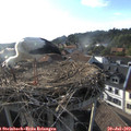 18_45-nest.jpg