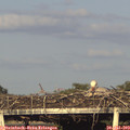 19_15-mast.jpg