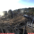19_40-nest.jpg