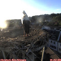 20_10-nest.jpg