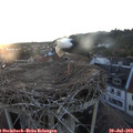 21_00-nest.jpg