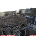 21_05-nest.jpg
