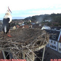 05_45-nest.jpg
