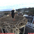 06_05-nest.jpg