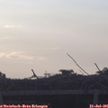 06_25-mast.jpg