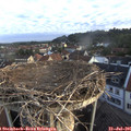 06_25-nest.jpg