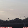 06_30-mast.jpg