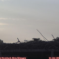 06_35-mast.jpg