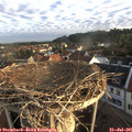 06_35-nest.jpg