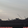 06_40-mast.jpg