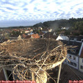 06_40-nest.jpg