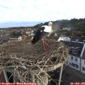 06_45-nest.jpg