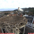 06_55-nest.jpg