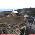 07_00-nest.jpg
