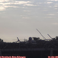 07_20-mast.jpg
