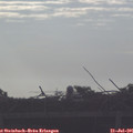 07_30-mast.jpg