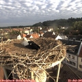 07_30-nest.jpg