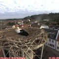 07_35-nest.jpg