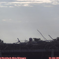07_45-mast.jpg