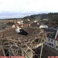 07_45-nest.jpg