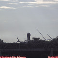 07_50-mast.jpg